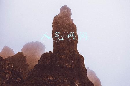 人气网游