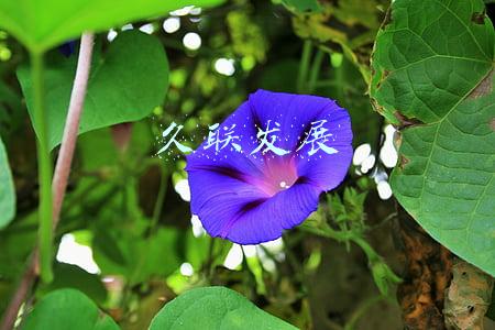 久联发展