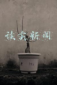 读卖新闻