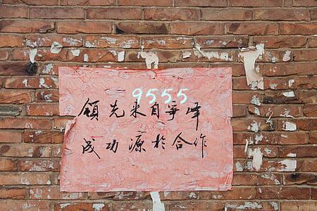 95559会主动打电话吗(千万不要拉黑021-95559，当心亲朋好友被连坐式骚扰……)
