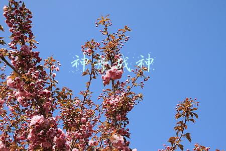 神舟战神