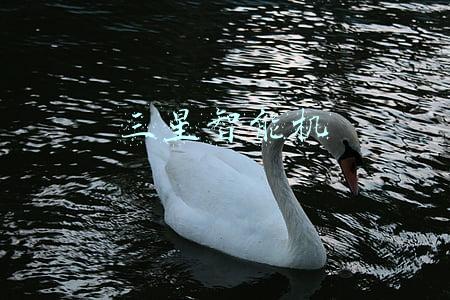 三星智能机