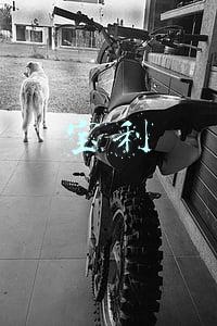 宝利