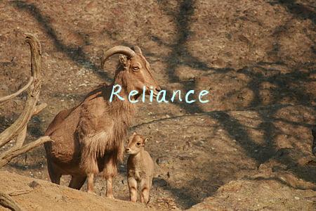 Reliance