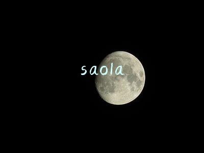 saola