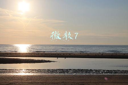微软7
