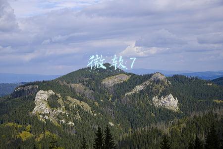 微软7
