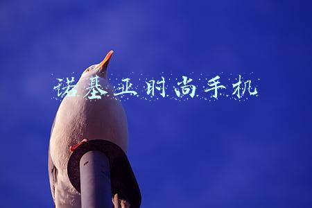 诺基亚时尚手机