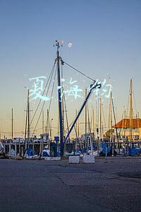 夏海钧