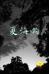 恒大夏海钧(恒大总裁夏海钧沽清公司债券 面值1.28亿美元)