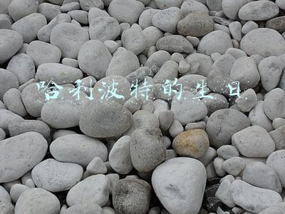 哈利波特的生日