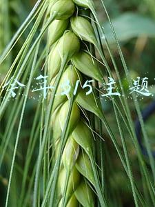 今年315主题内容(2021年“315”晚会主题发布：提振消费 从心开始)