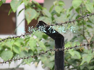 搜狐微信搜索