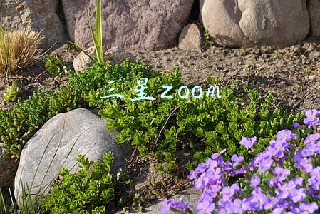 三星zoom