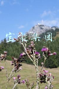 宝能集团