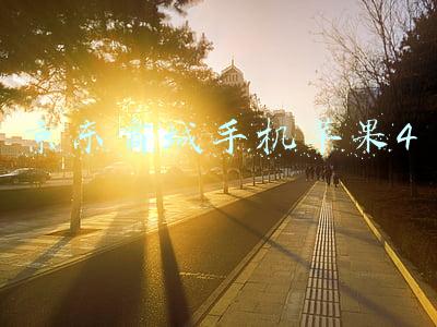 京东商城手机苹果4