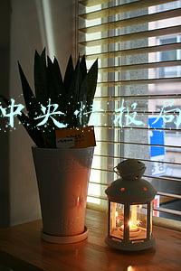 中央情报局