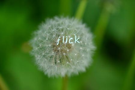flick