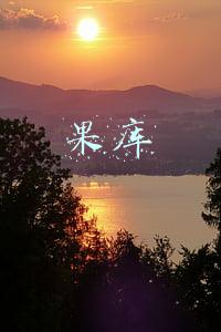 果库