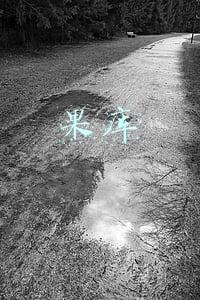 果库app怎么用不了(4.0版本做完减法后，“果库”要进行由数据辅助的媒体化尝试)