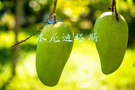 本尼迪塔斯