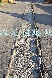 本尼迪塔斯