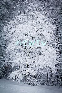 newtv极光是腾讯视频吗(新媒股份—投资者提问：“腾讯持股未来电视19.9%股份，并与其合作推出newtv极光，回来大概率会减少OTT领域与公司的合作。公司19年年报中说要加大在OTT领域的发展，请问公司如何应对并解决这个问题？”)