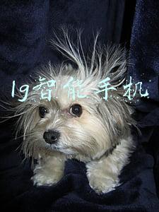 lg智能手机