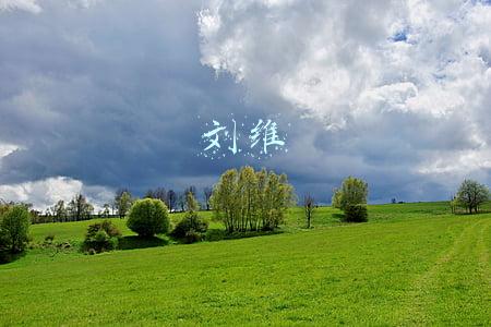 刘维