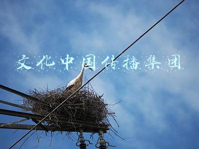 文化中国传播集团