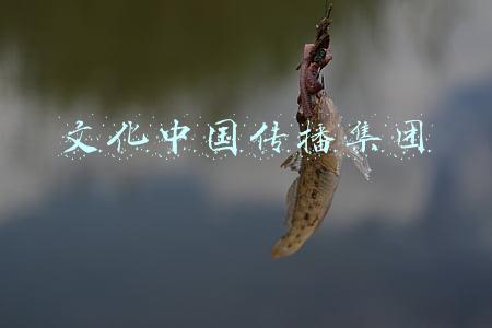 文化中国传播集团