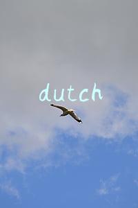 dutch