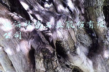 鸿海精密工业股份有限公司