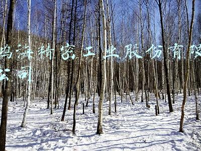 鸿海精密工业股份有限公司