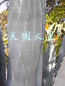 美国火星