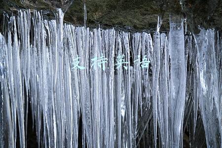 支持英语