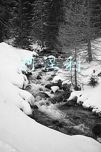 阿涅利