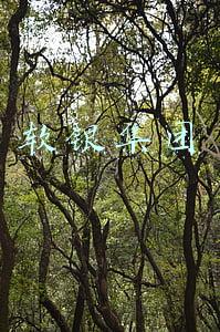 软银集团市值(软银集团发布2021财年第四季度财报，净亏损约162亿美元)