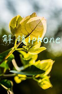 解锁iphone