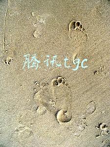 腾讯tgc