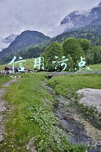 信用污点对孩子有什么影响(征信黑了会不会影响子女上学？)