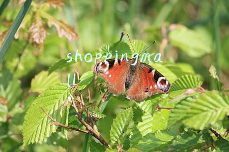 shoppingmall