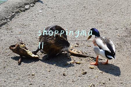 shoppingmall