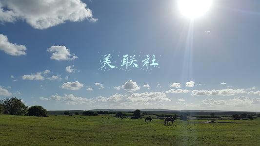 美联社美发(美国美发厅老板以1美元将店卖给员工 称对方“值得托付”)