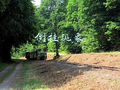 倒挂现象