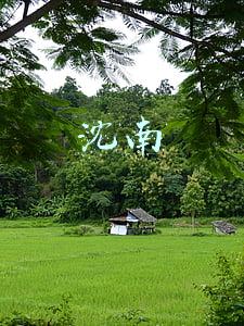 沈南