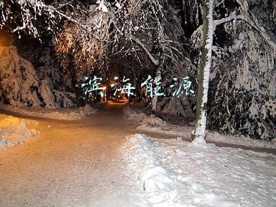 滨海能源