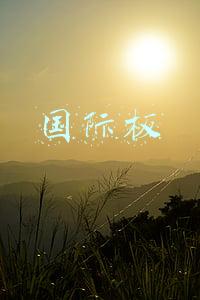 国际板