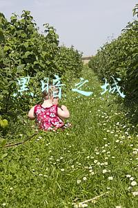 黑暗之城