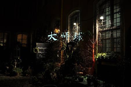 大师球
